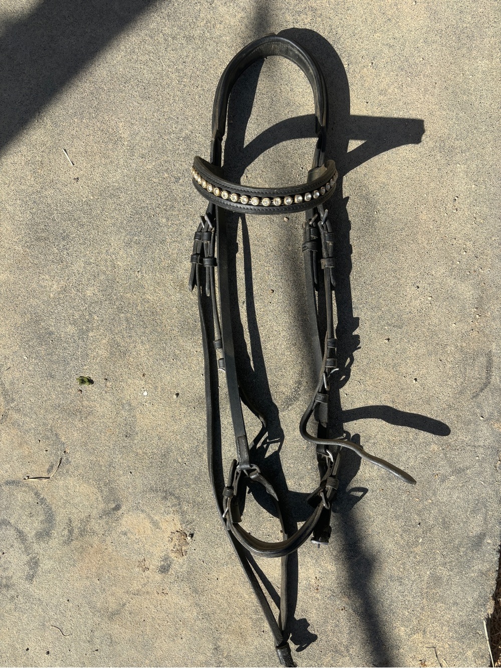 Black Drop Noseband Bridle